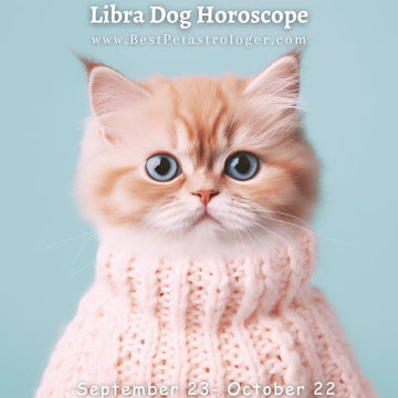 Cat - Libra horoscope